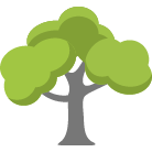 Clayton Tree Removal Service